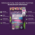 Foclar™ FocusBlend — 8-in-1 Mushroom Gummies